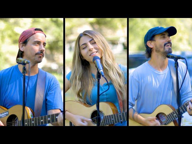 Shape of You | Music Travel Love ft. Jada Facer (Ed Sheeran Cover)