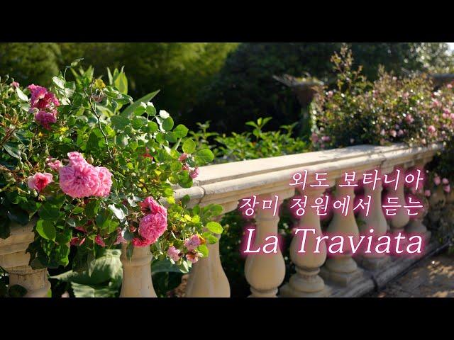 외도 보타니아 장미 정원에서 듣는 라 트라비아타 La Traviata