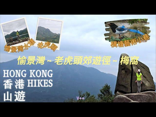 香港山遊 |大嶼山|愉景灣至梅窩|8公里中度路線[水塘-老虎頭郊遊徑]|横塘藝術小巷