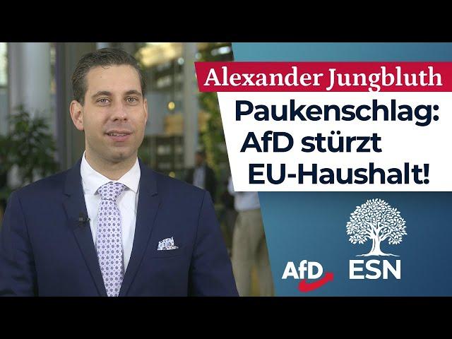 AfD lässt EU-Haushalt scheitern! – Alexander Jungbluth (AfD)