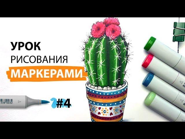 Как нарисовать кактус? / Урок по рисованию маркерами для новичков #4