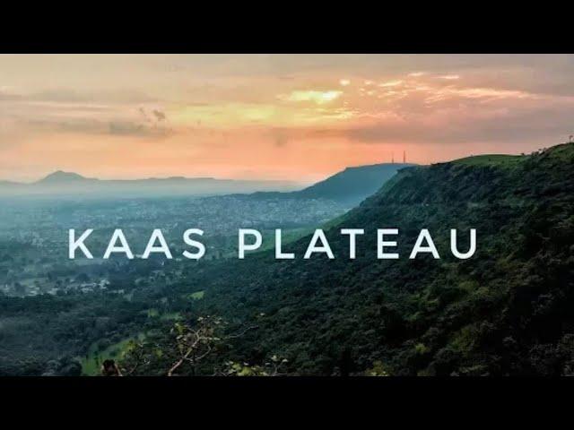 Ride On The Kaas plateau in summer (Kaas Pathar), Satara, MH, India