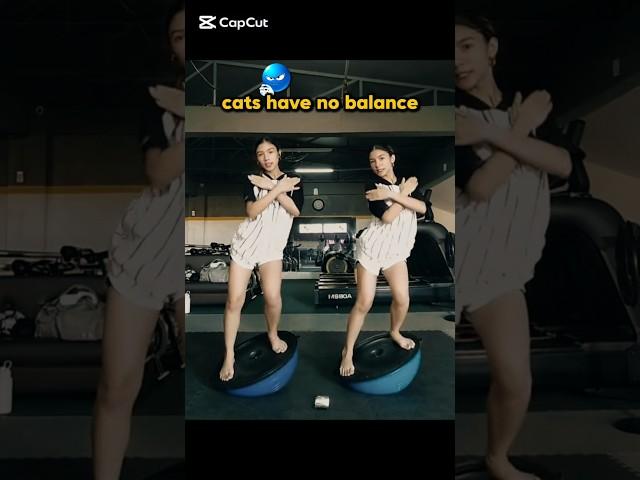 cats have no balance      #trending #cat #animals