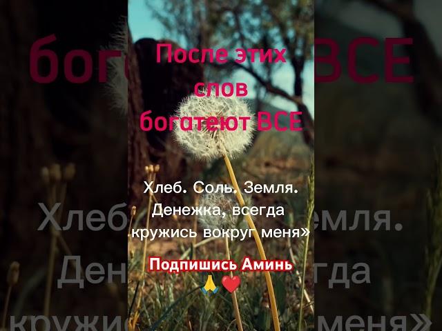 После этих слов богатеют ВСЕХлеб. Соль. Земля. #uzbekistan  Денежка, всегда кружись вокруг меня»