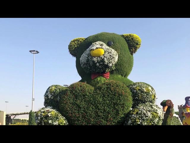 DUBAI MIRACLE GARDEN / GARDEN OF FLOWERS, MIRACLES IN DUBAI 2019