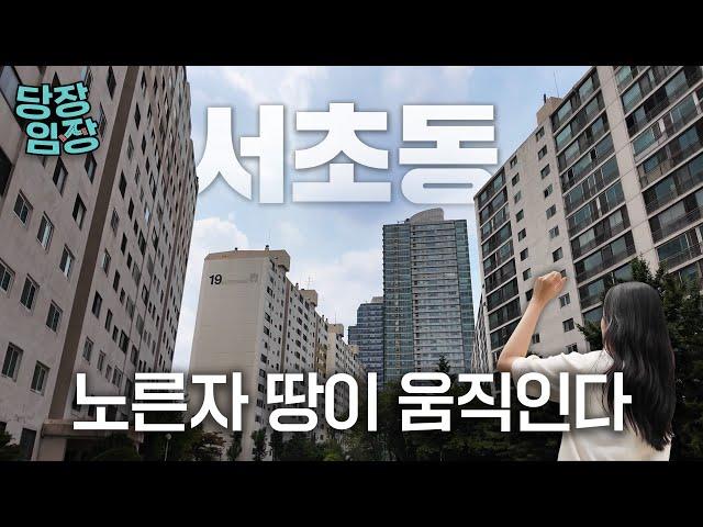법조인은 다 아는 원조 부자 아파트, 지금 내부는 이렇습니다 | 당장! 임장
