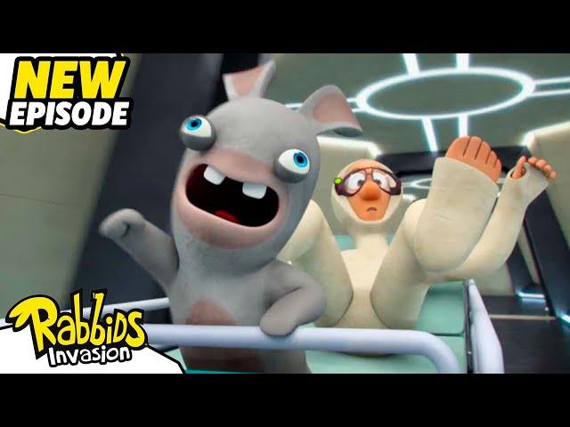 The Great Rabbid escape (S04E35) | RABBIDS INVASION | New episodes | Cartoon for Kids