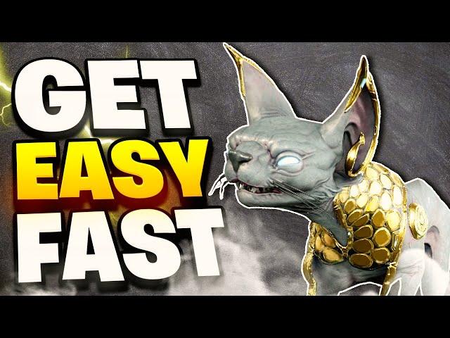 Beginner's Guide: How to Get All Kavats Fast in Warframe