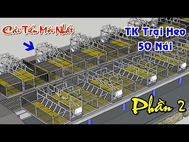 Thiết Kế Xây Dựng Trại Lợn(Heo) 50 Nái Cải Tiến Phần 2 | Khởi Nghiệp TV