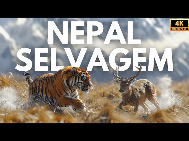 NEPAL - Reino Selvagem do Himalaia | Documentário Completo