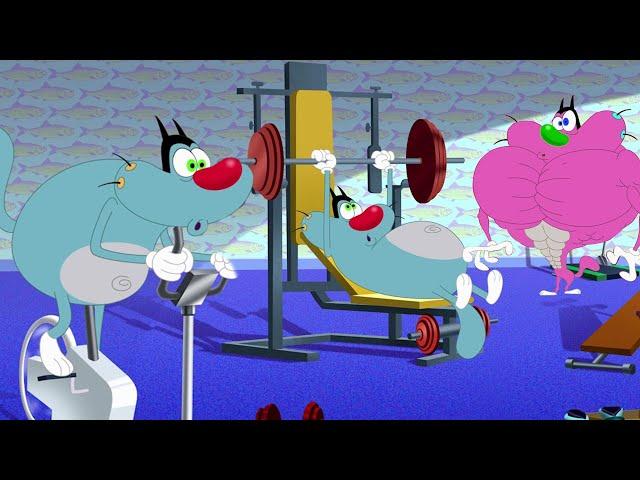 Oggy and the Cockroaches  OGGY THE BODYBUILDER  - Full Episodes HD