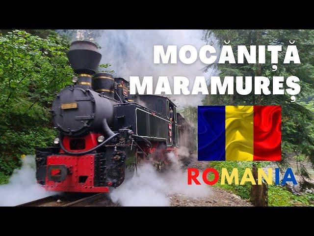 Steam trains in Romania | Mocănița Maramureș