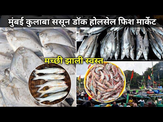 Colaba Sassoon Dock Fish Market | Colaba Fish Market Mumbai | Wholesale Fish Market In Mumbai