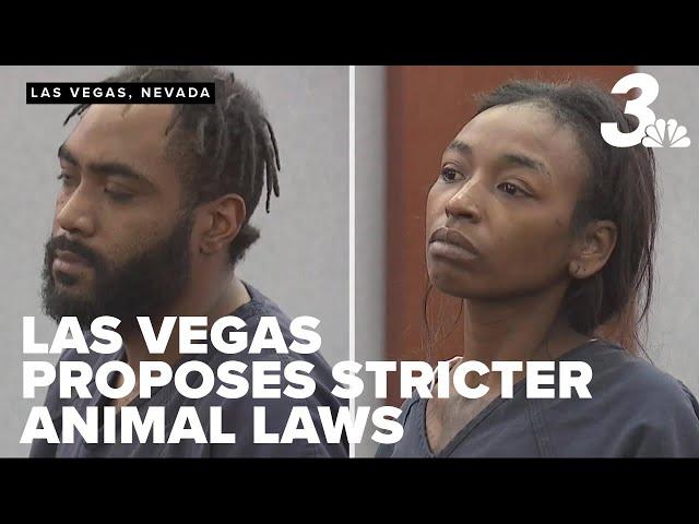 Las Vegas proposes stricter animal cruelty laws, targeting abandonment and pet shop sales