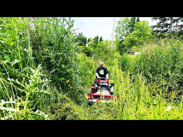 NOBODY would mow this TERRIFYING Yard for Lady with Cancer SO I DID FOR FREE