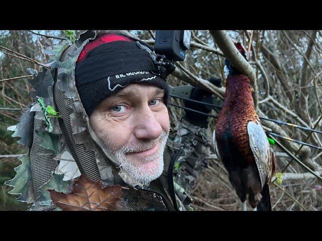 Stickbow Pheasant - Traditional Bowhunting for pheasant - Tales From the Willows