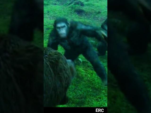 KOBA | Dawn of the Planet of the apes | WhatsApp Status video | 4