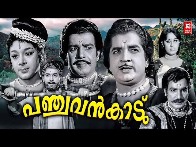 Panchavan Kaadu Malayalam Full Movie | Prem Nazir | Sathyan | Sheela | Malayalam Old Movies