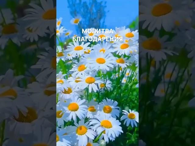 Молитва #вдохновение #любовь #мотивацияивдохновение #душа #рекомендации #жизнь #счастье#молитва