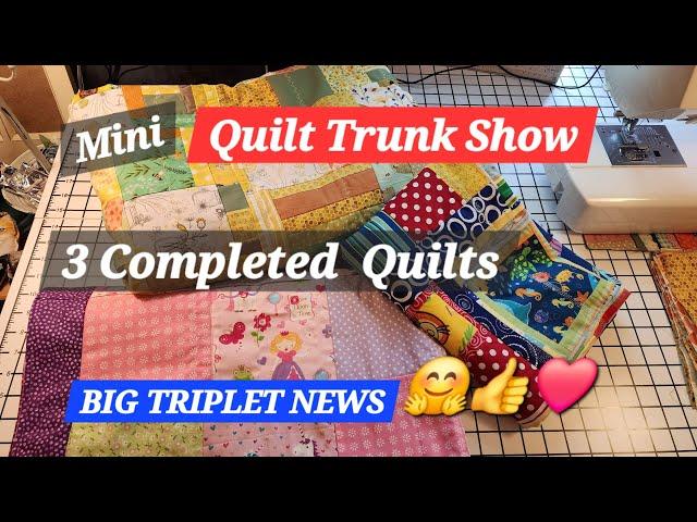 3 Completed Quilts  ,Honey Bee Quilt, Princess Quilt, Under The Sea Quilt, Mini Quilt Trunk Show