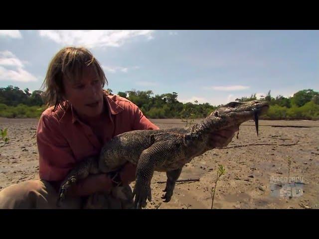 Austin Stevens: In Search of the Man Eating Python (Reticulated Python)