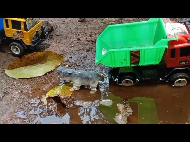 Mobil truk oleng menjemput hewan hewan di lumpur sapi ,harimau,kuda,gajah,unta