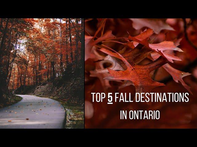 TOP 5 Fall Destinations In Ontario