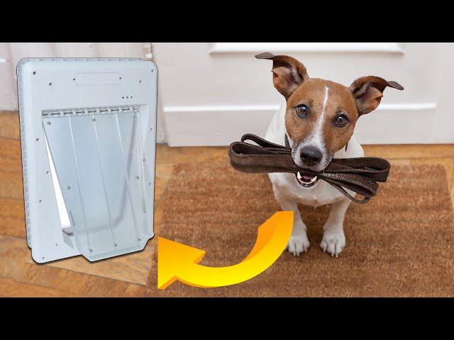 Electronic Dog Door