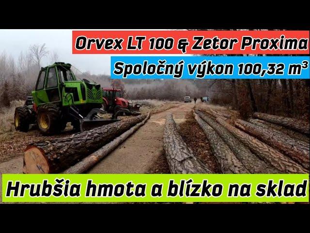 Začíname spoločne nový porast s dobrou hmotou/Zetor Proxima/Orvex LT 100/Stihl ms 461,462/@AmlesOrvexLT100