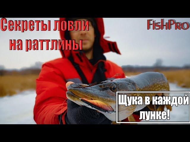 Как ловить щуку на раттлины со льда?