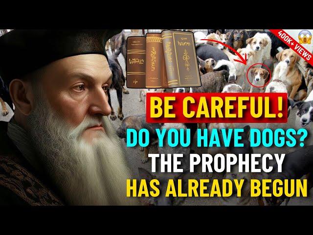  What Nostradamus Predicted for Those Who Have a Dog at Home | Revealed Prophecies