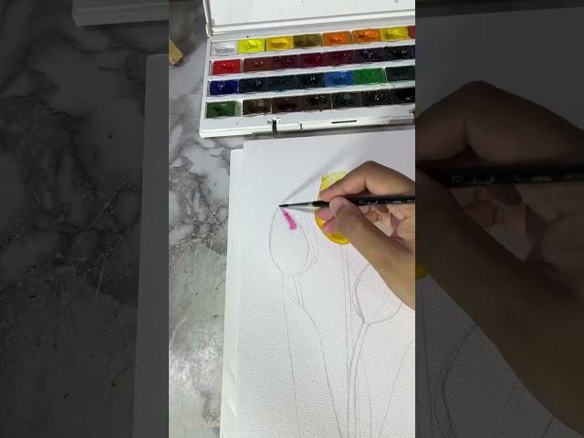 Tulips Flower Painting using Nevskaya Palitra White Nights Watercolor #art #painting #watercolor