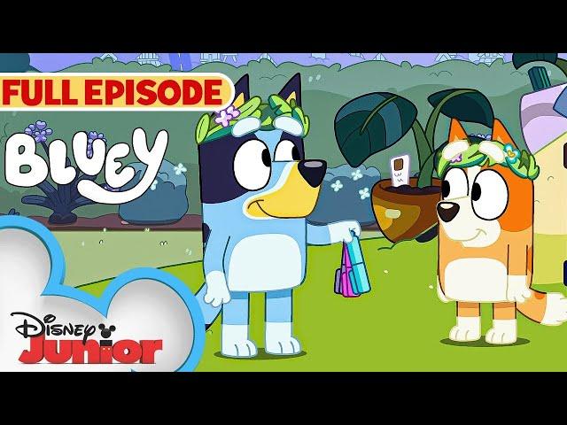 Bluey Full Episode |   Rug Island | S2 E10 | Full Episode | @disneyjr