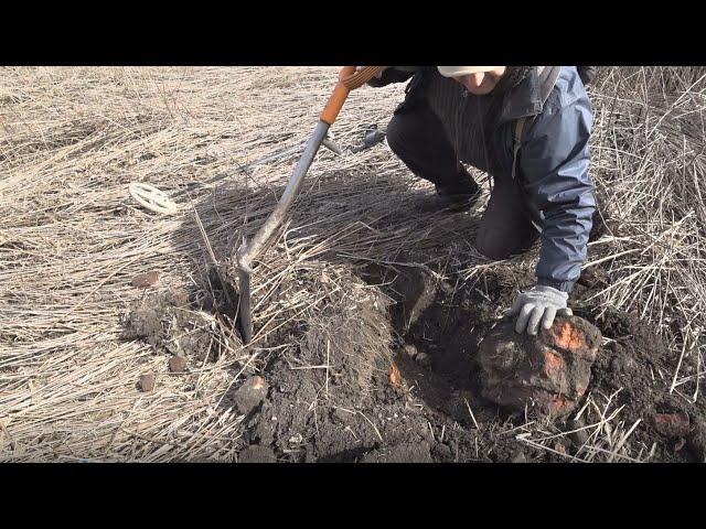 Нашел ЗАРЫТЫЙ ПОДВАЛ с ЗОЛОТОМ и серебром!!! Старинная заброшка! Рзвалины королевства!