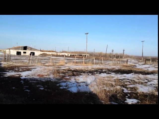Кто и когда ответит за развал крупного хозяйства в Хакасии?