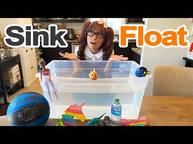 Sink or Float? | Science Experiments for Kids