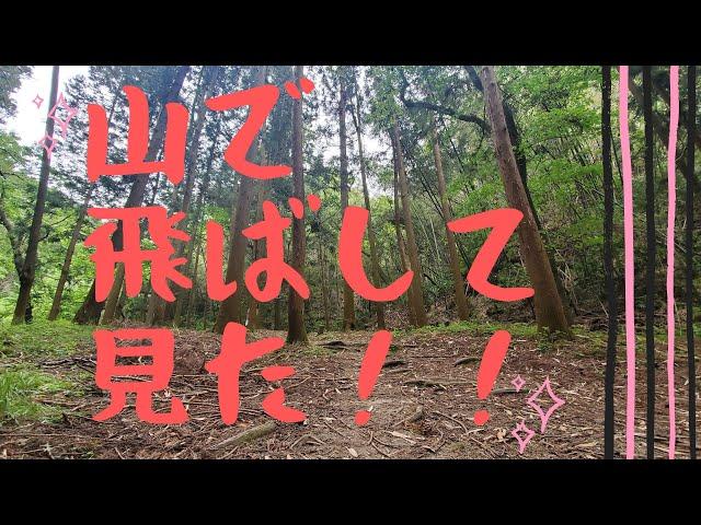 Betaflight4.2(rc)test flight!!!おやま！