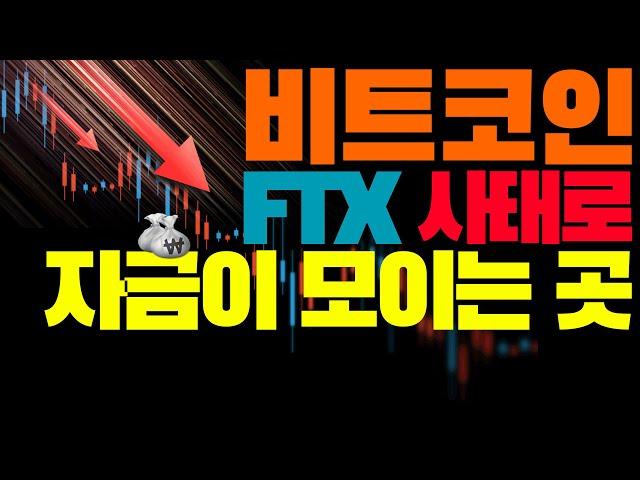 비트코인 불신은 하지않는데, 자금이 옮겨진다. 어디로?