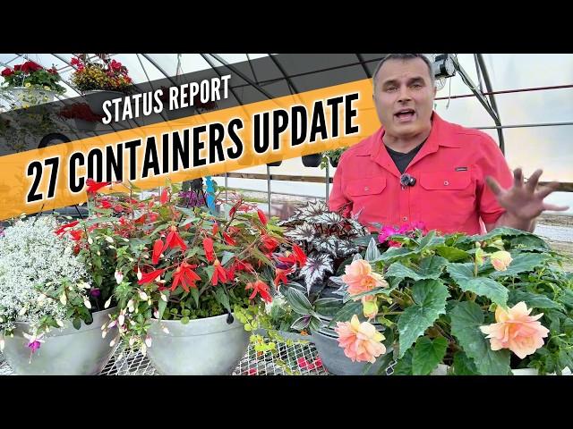 I Planted 27 Containers… Here’s How They Look Now