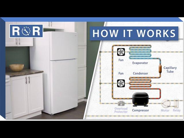 How a Refrigerator Works | Repair & Replace