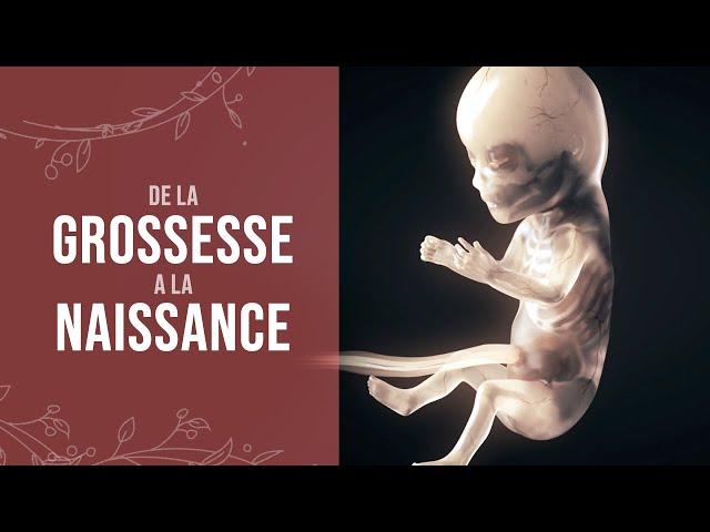 De la grossesse à la naissance d'un miracle