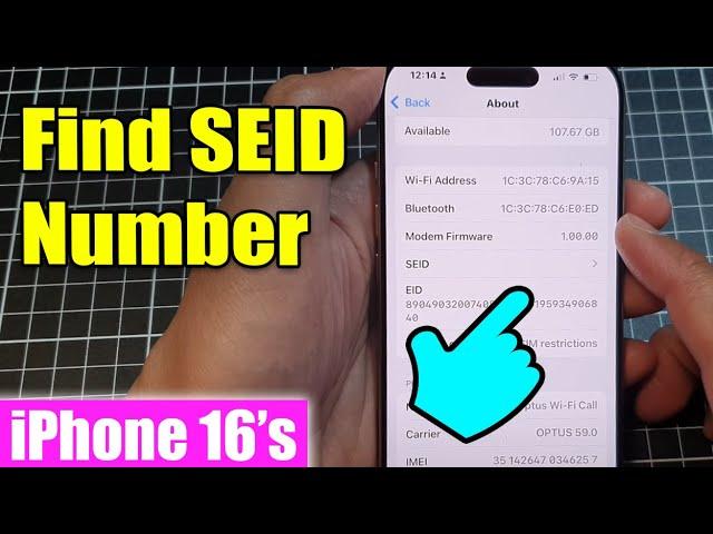 iPhone 16/16 Pro Max: How to Find SEID Number