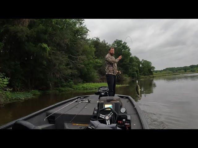 Mr  Bass of Arkansas at Lake Dardanelle   Frogging Clinic