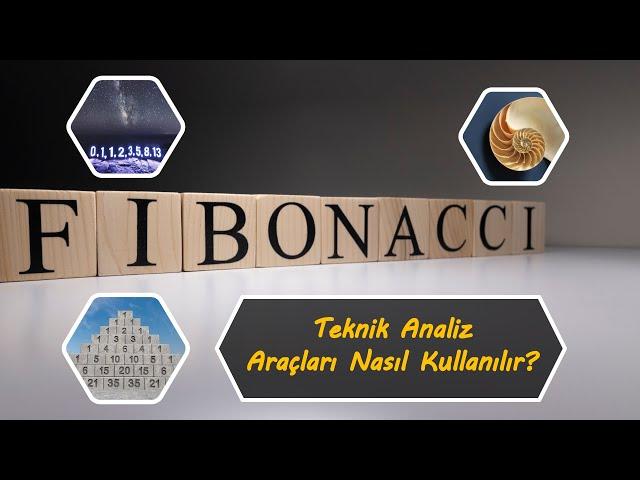 Fibonacci teknik analiz araçları nasıl kullanılır? Fibonacci nasıl çizilir? Fibonacci dizisi nedir?