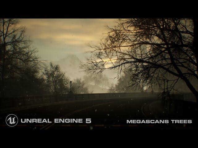 Unreal Engine 5 | The Road Less Traveled | Megascans Trees