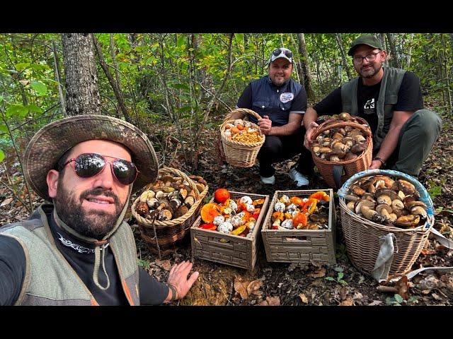 Porcini neri ed Amanita Caesarea. "Passione per i funghi e amicizia. Questi siamo noi".