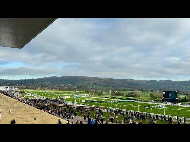 Honest Days Punting - Cheltenham November Saturday - Pt 1