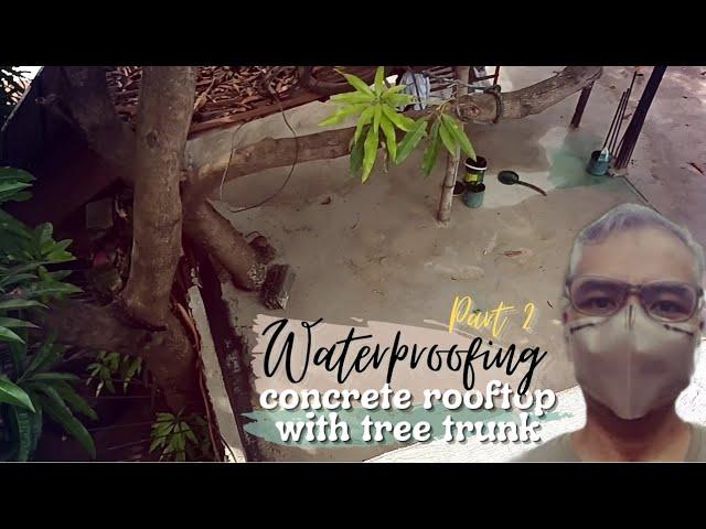 Waterproofing of Concrete Rooftop With Tree On It! | Cost & Procedure | Part 2 of 2