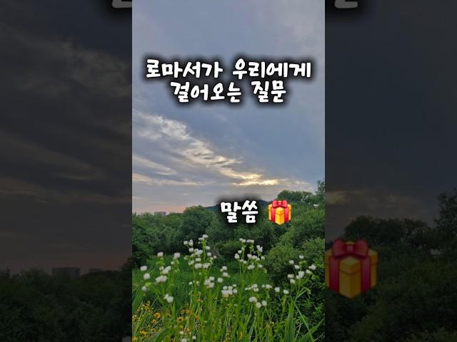 로마서 8장 말씀 암송 횡성감리교회 윤상호 목사님 로마서 설교 말씀 고린도후서 13장 내 안에 사는 이 찬양 사도 바울 그리스도의 영 성경 암송 성경 통독 성경 읽기 오디오 바이블