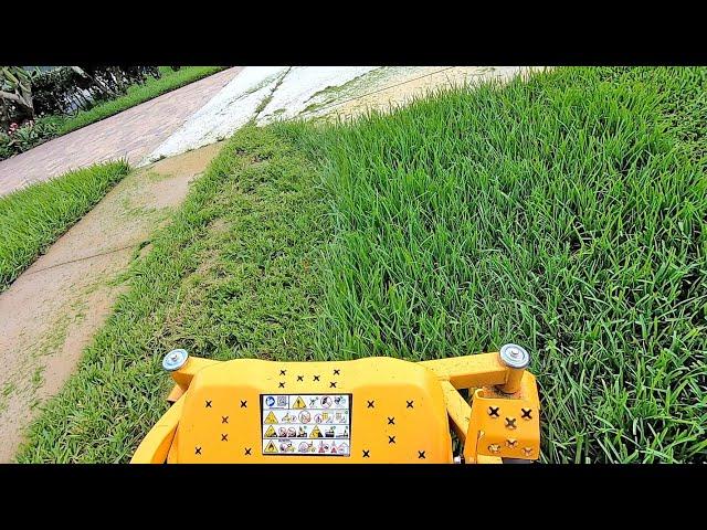 Mowing and Mulching St Augustine Ditches POV Operator's View